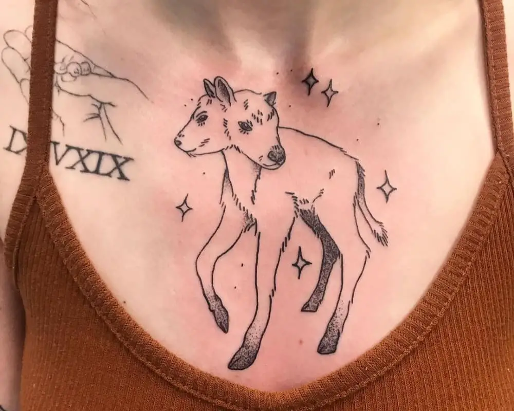 A tattoo of a two-headed calf on his chest
