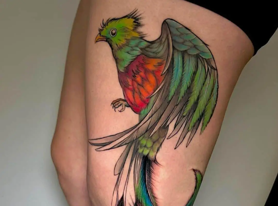 Colorful bird tattoo