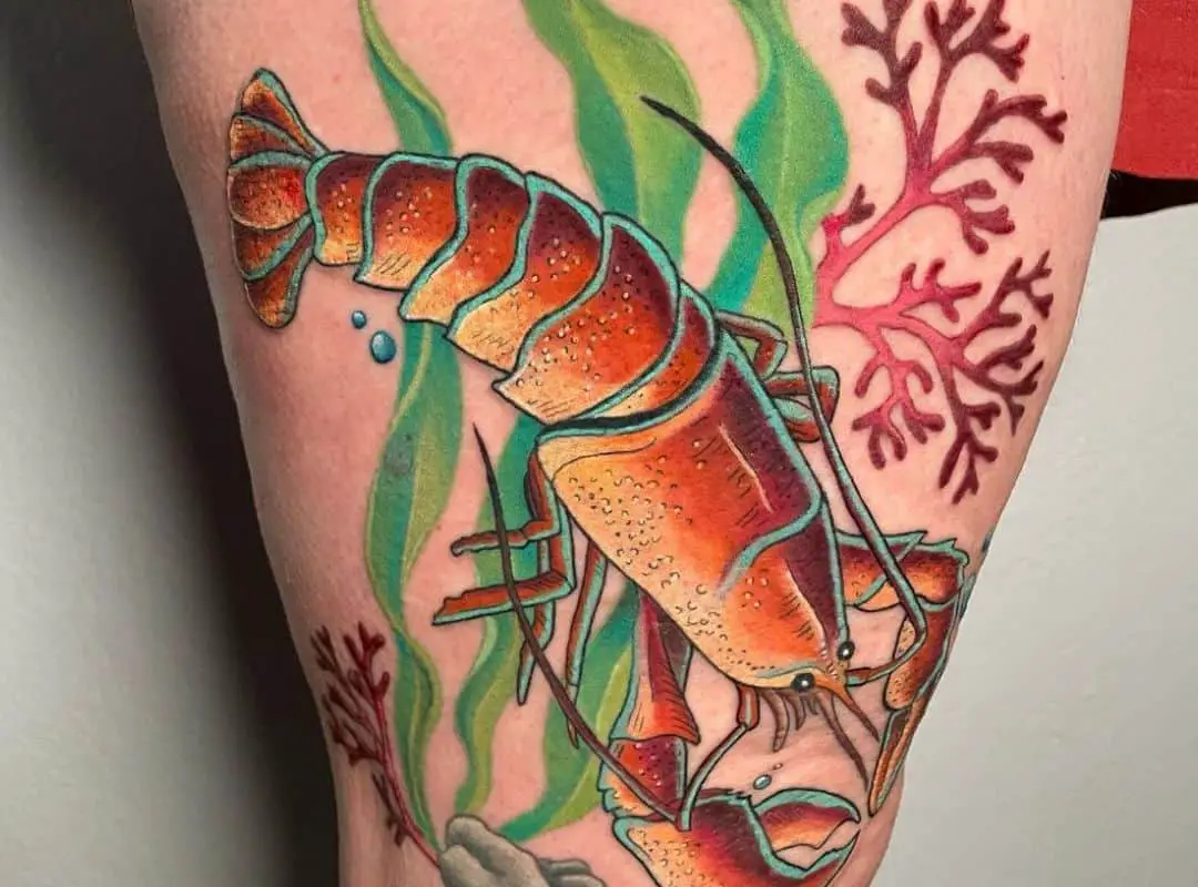 Red lobster with algae in the background tattoo