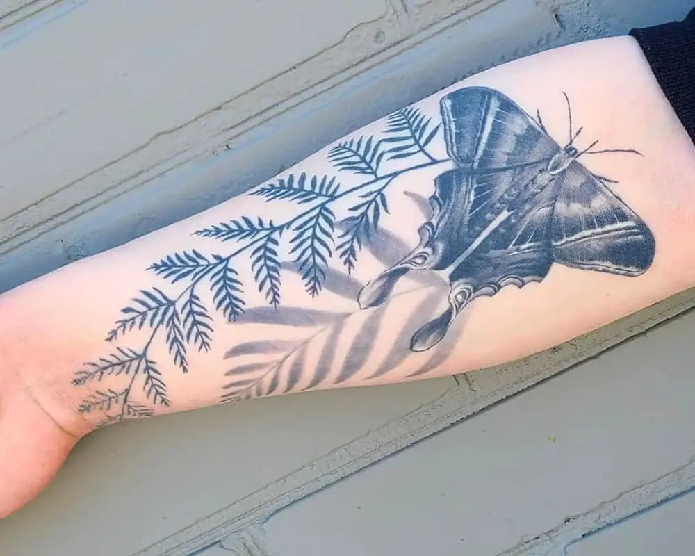 Tattoo of a butterfly with plants on the arm