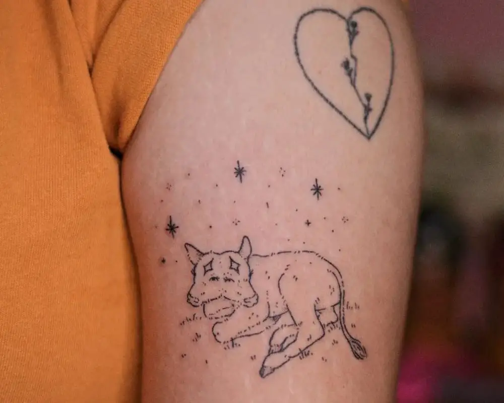 a tattoo of a two-headed calf lying under the stars, and a heart