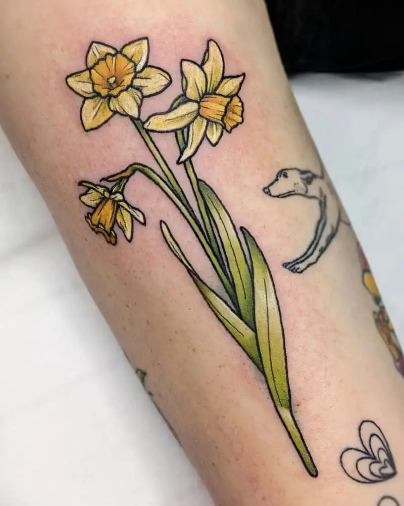 coloured daffodil sprig tattoo