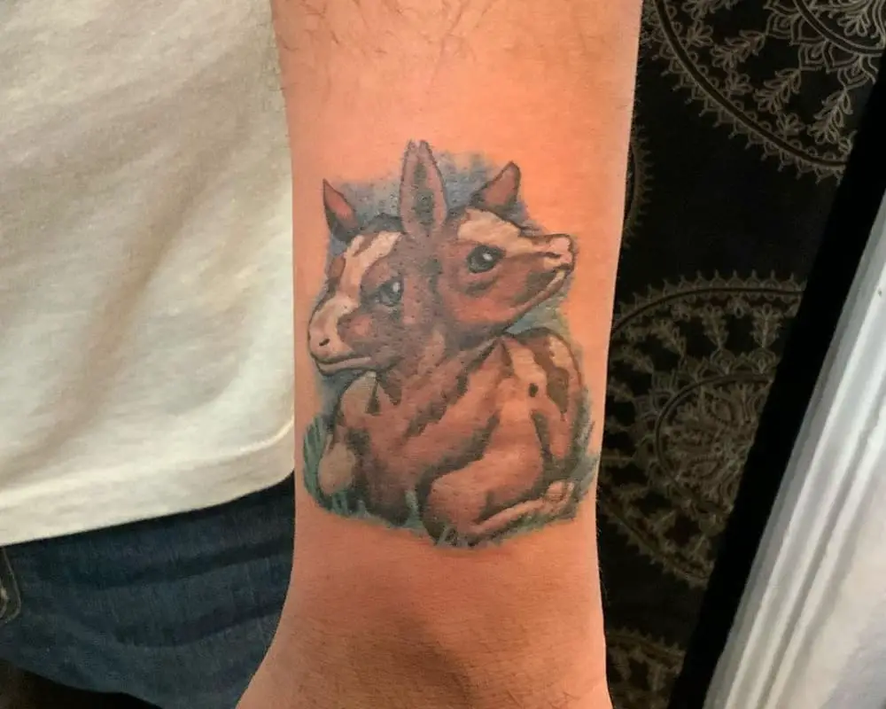 coloured tattoo of a two-headed calf lying in a meadow