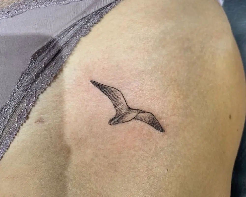 tattoo of a seagull