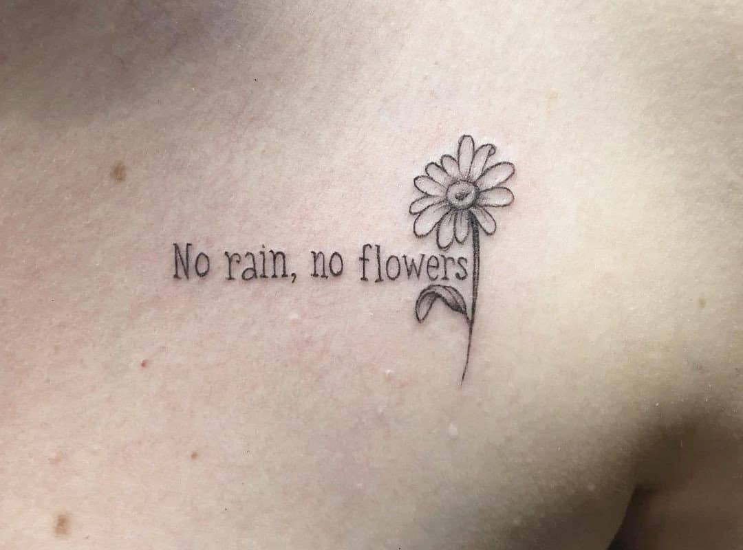 a daisy and the inscription "no rain no flowers"