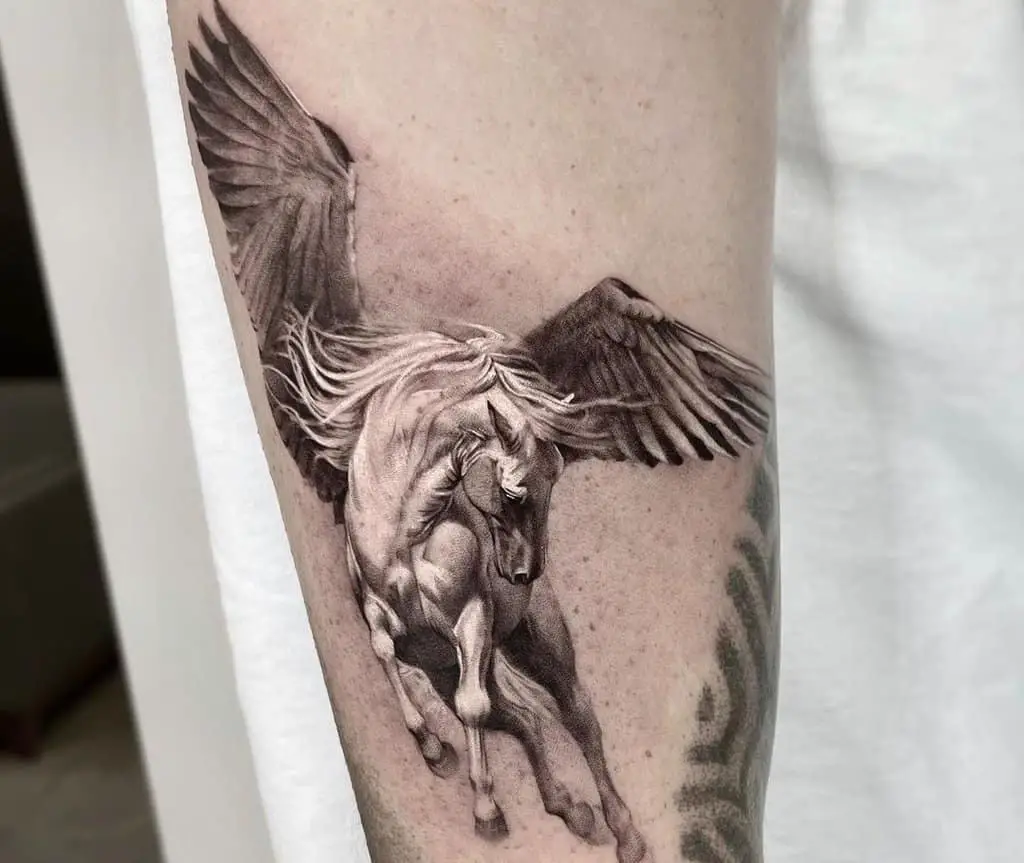 white pegasus