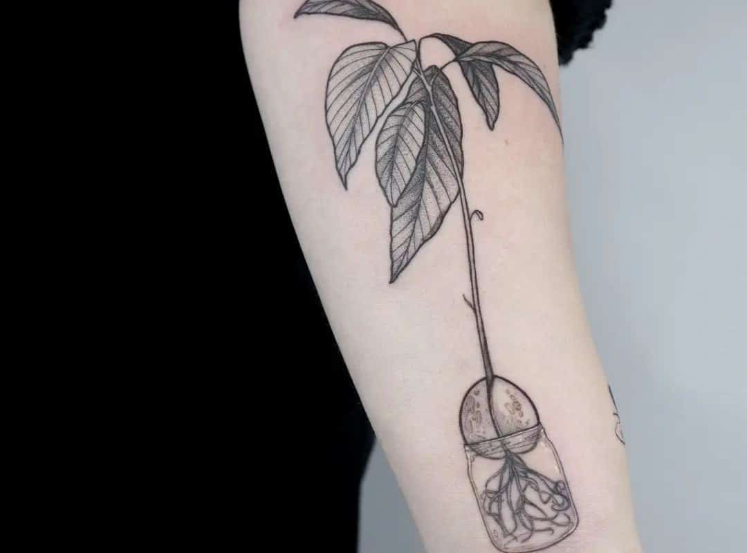small avocado tree tattoo