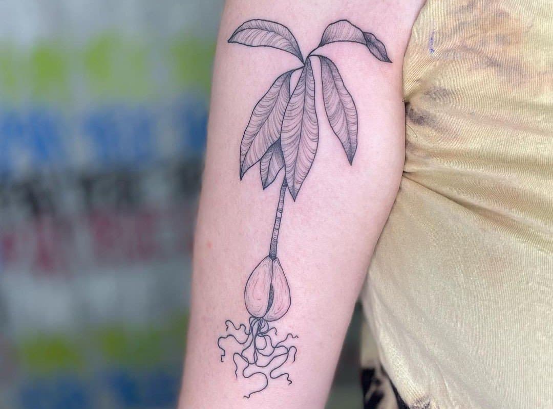 avocado tree tattoo on the hand