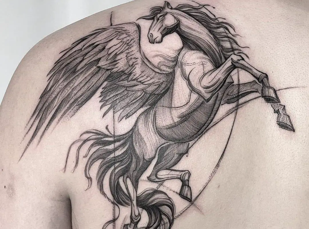 beautifully drawn pegasus