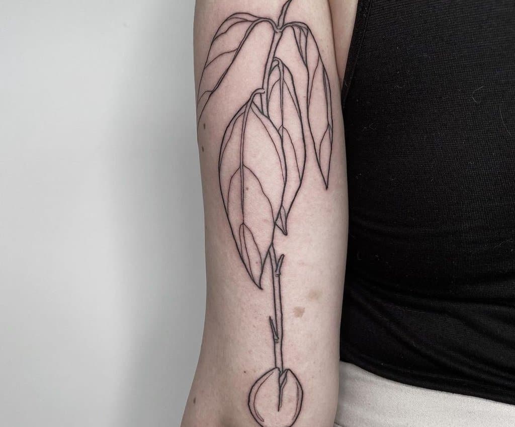 Avocado tattoo on the triceps