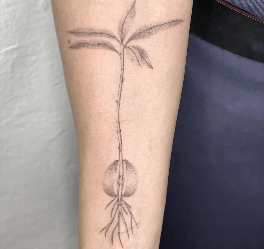monochrome tattoo tree avo