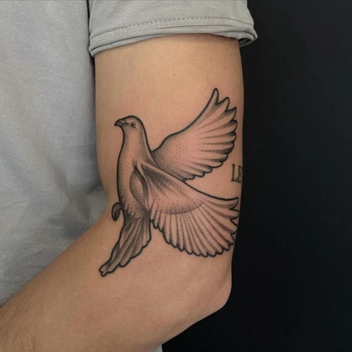 Colors Used In Dove Tattoos