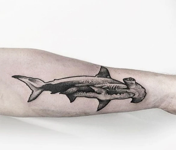 Common Locations For Shark Tattoos