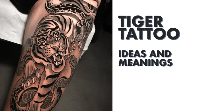 Cultural Significance Of Tiger Tattoos