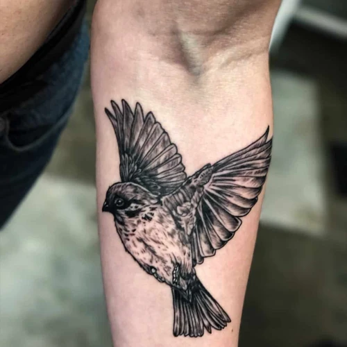 Different Designs And Variations Of Sparrow Tattoos