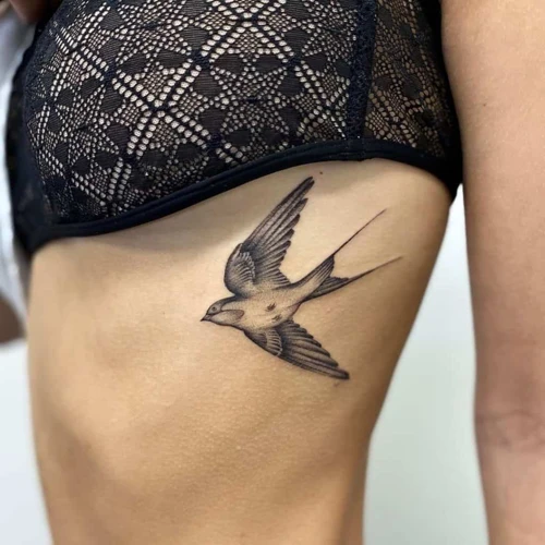 Different Types Of Swallow Tattoos