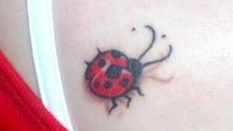 History Behind Ladybug Tattoos