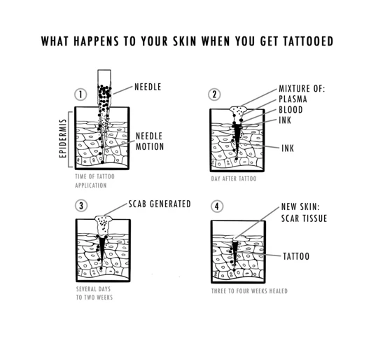 How To Make Tattoo Ink Stay In Skin?