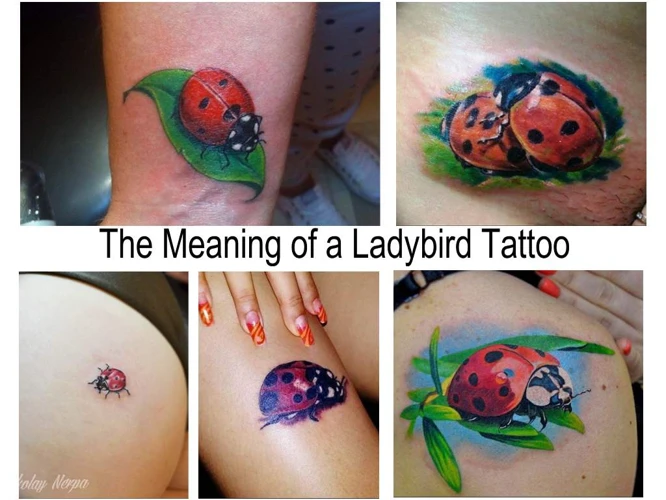 Symbology And Meanings Associated With Ladybug Tattoos