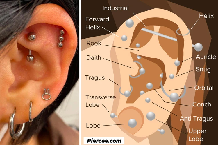 Types Of Ear Piercing