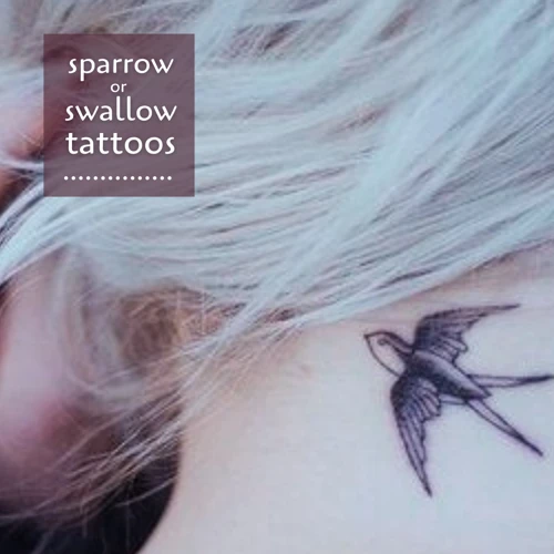Types Of Sparrow Tattoos